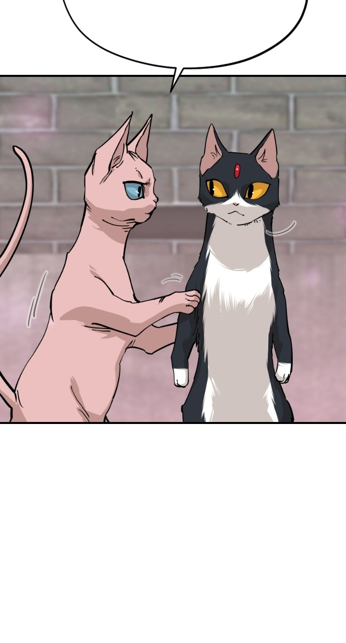 Read Meow Rangers Manga Online