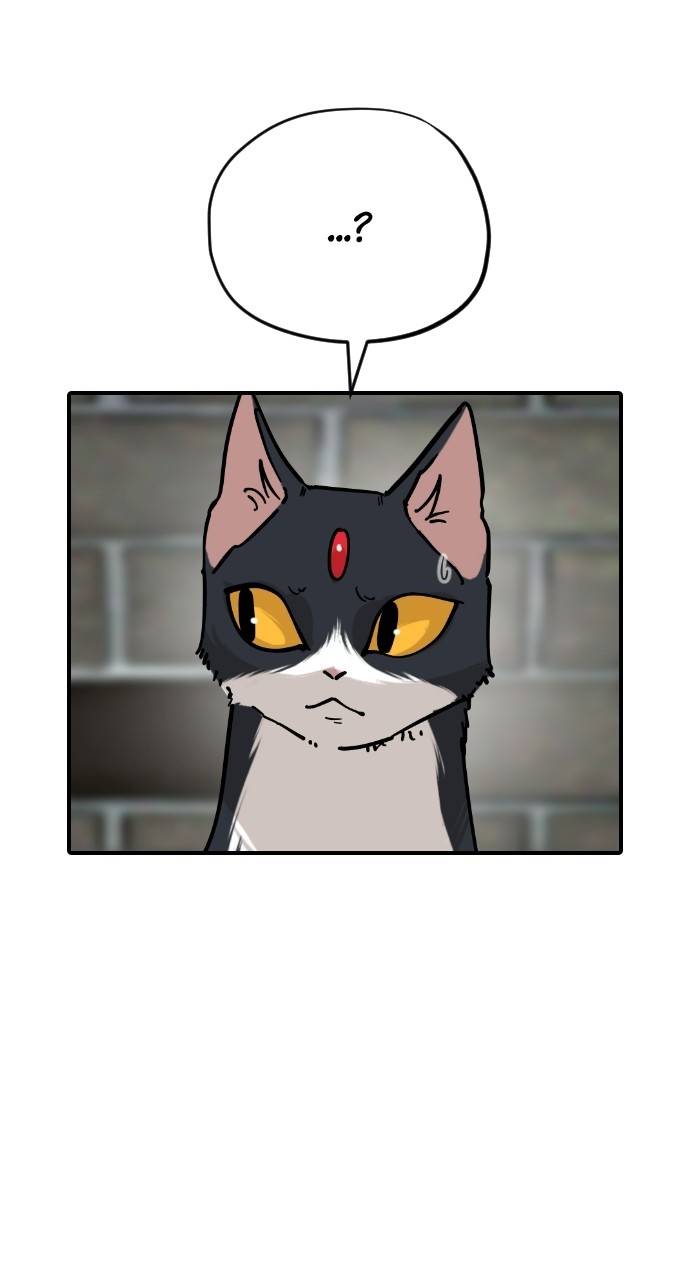 Read Meow Rangers Manga Online