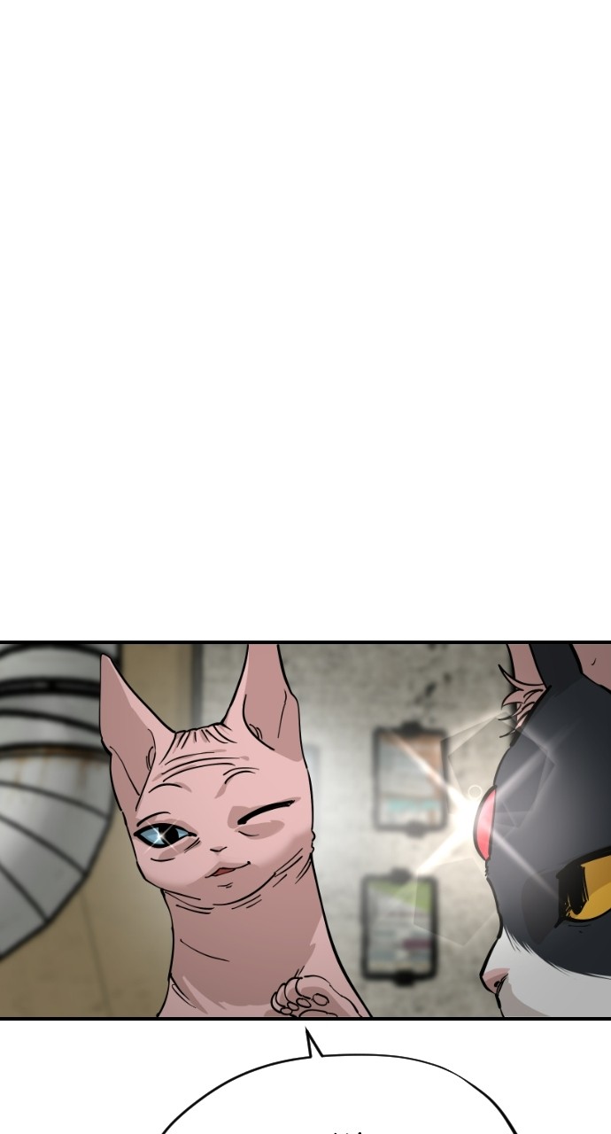 Read Meow Rangers Manga Online