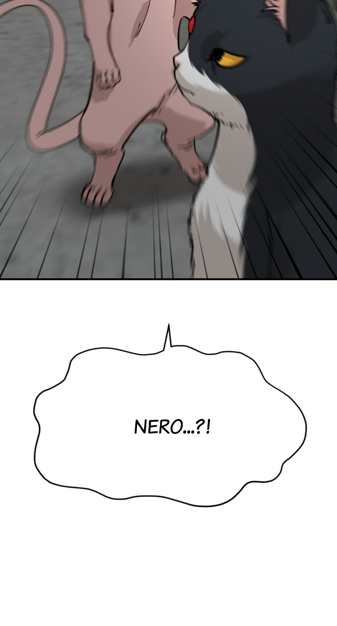 Read Meow Rangers Manga Online