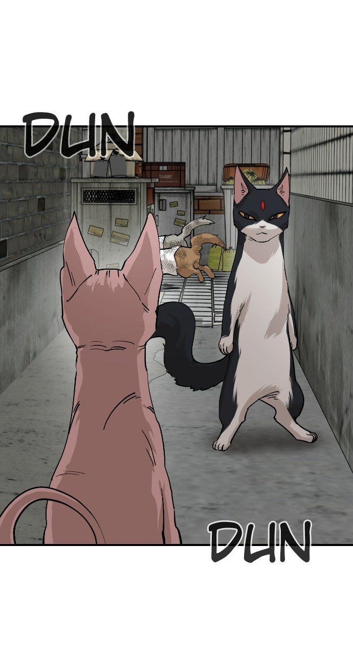 Read Meow Rangers Manga Online