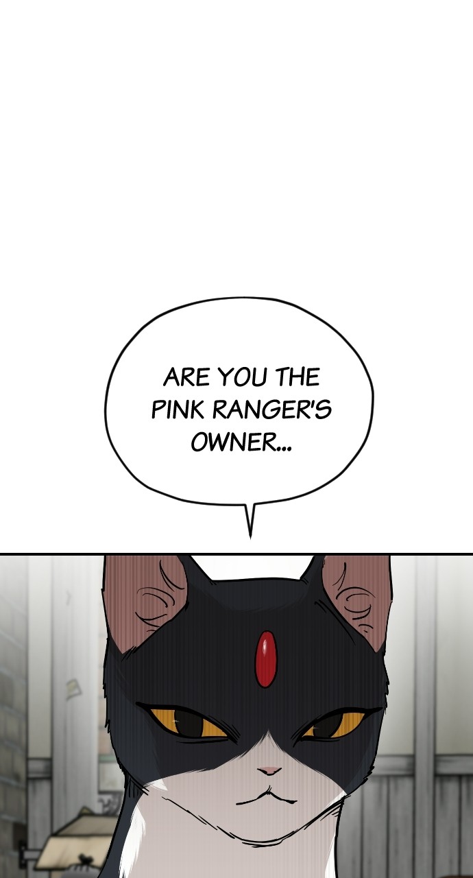 Read Meow Rangers Manga Online