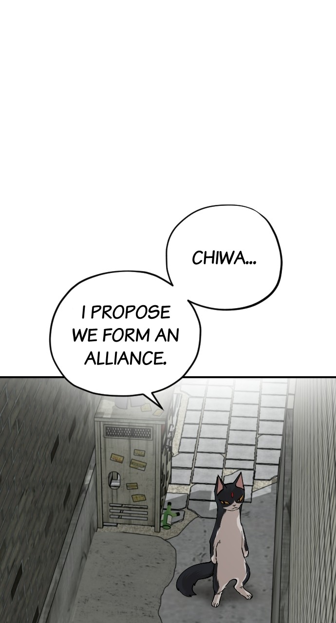 Read Meow Rangers Manga Online