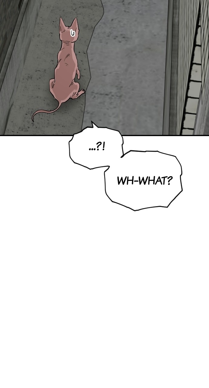 Read Meow Rangers Manga Online
