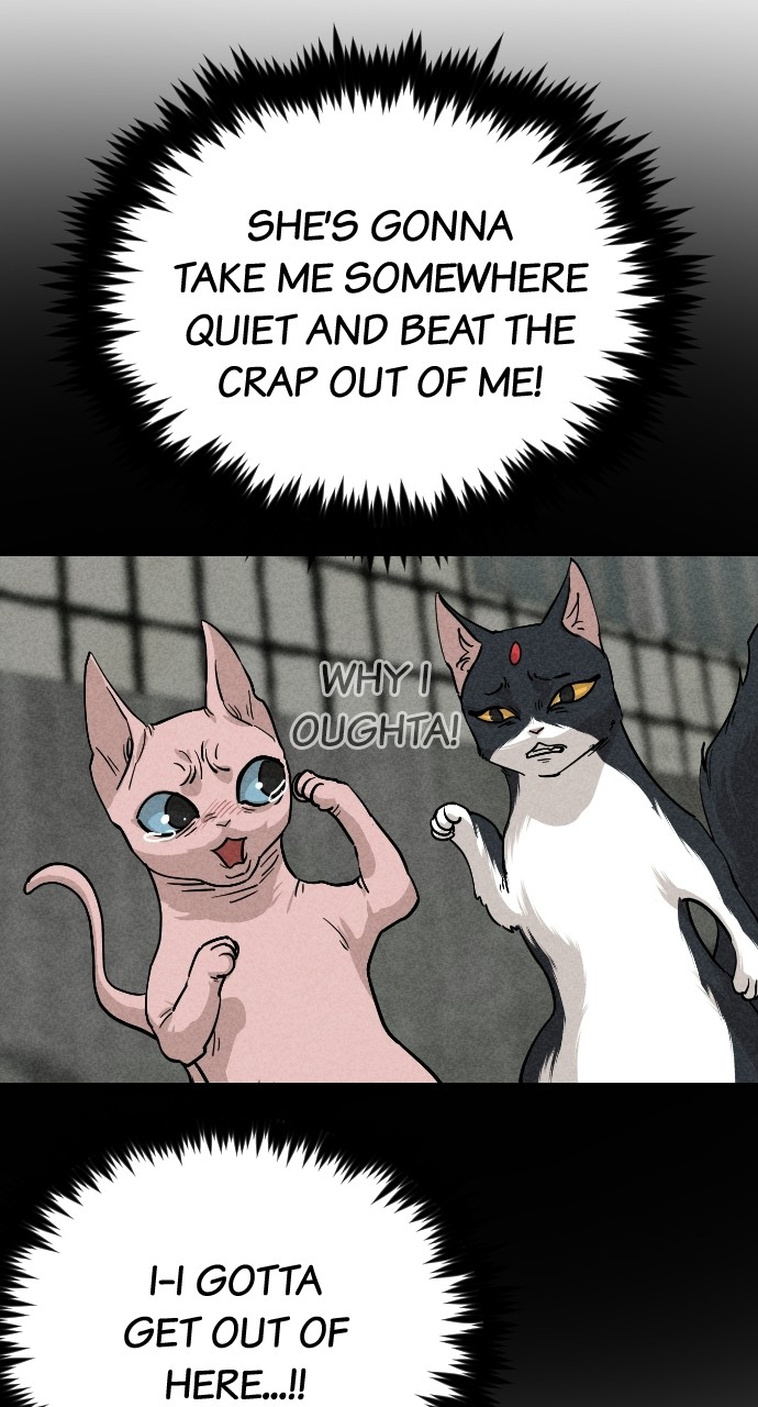 Read Meow Rangers Manga Online