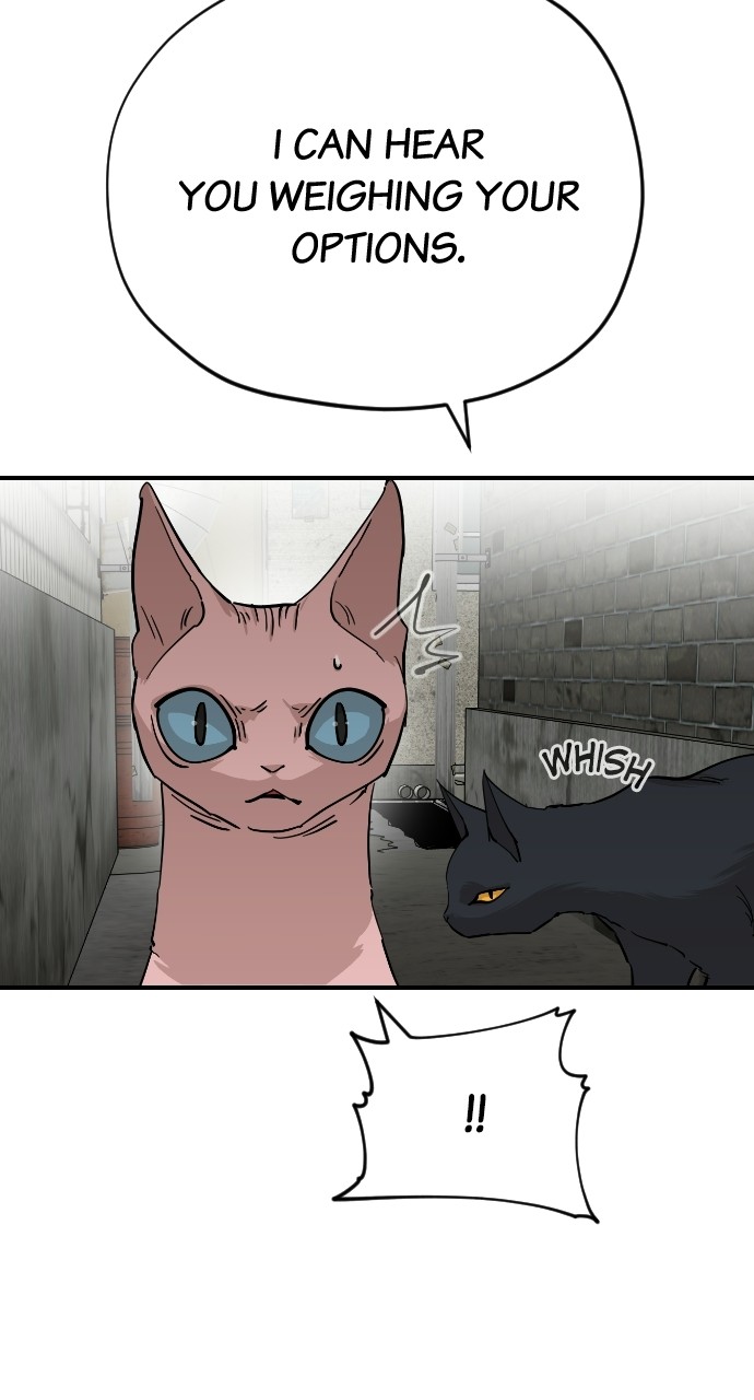 Read Meow Rangers Manga Online