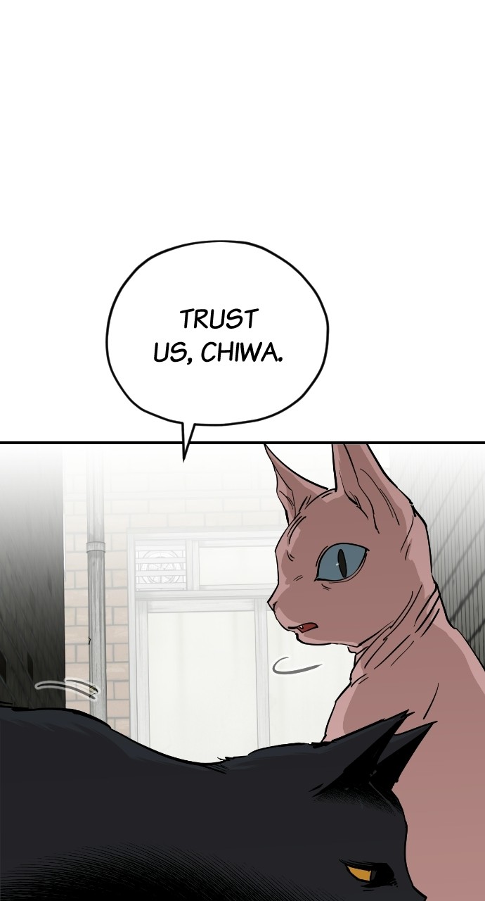 Read Meow Rangers Manga Online