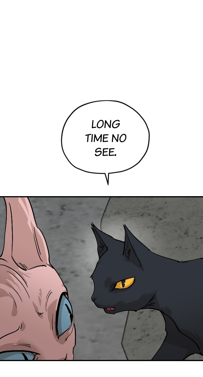 Read Meow Rangers Manga Online
