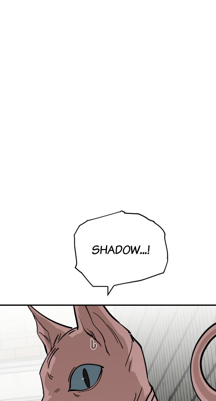 Read Meow Rangers Manga Online