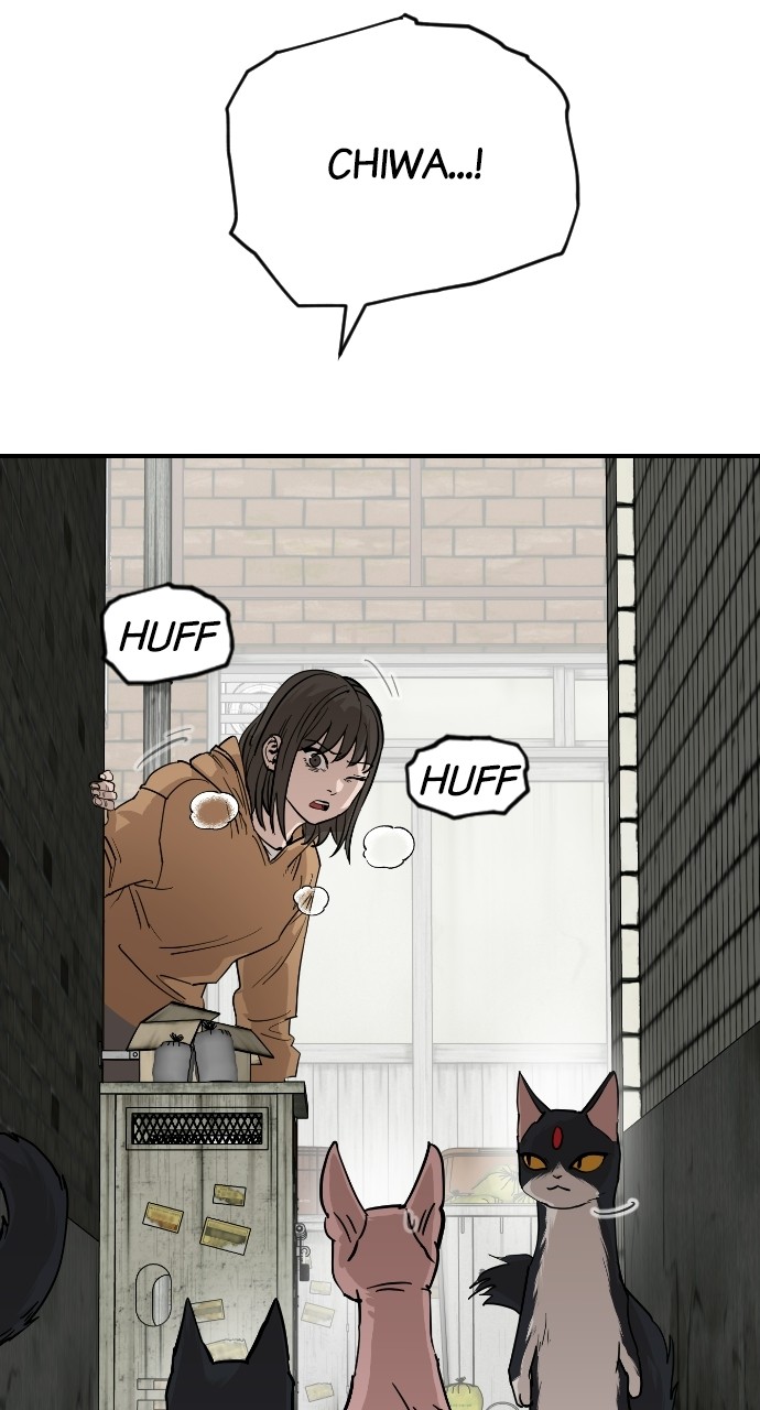 Read Meow Rangers Manga Online