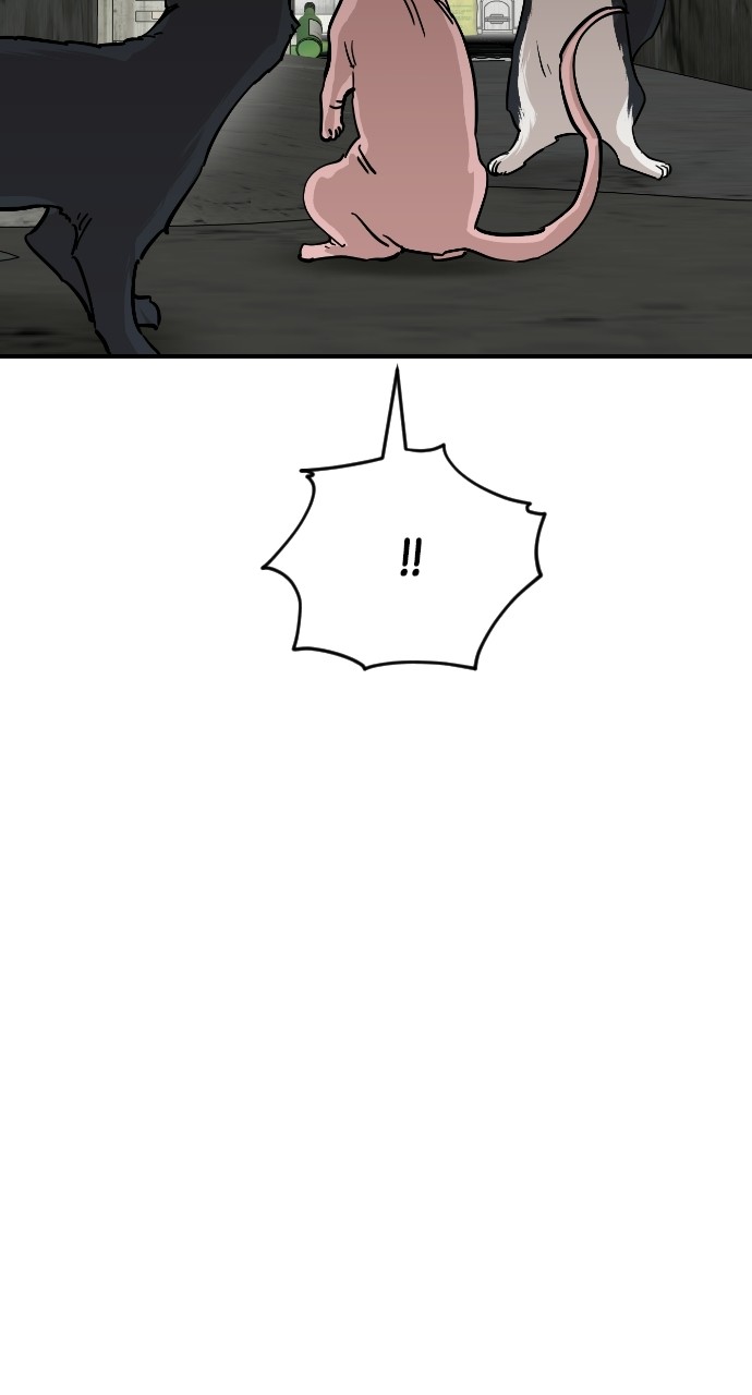 Read Meow Rangers Manga Online