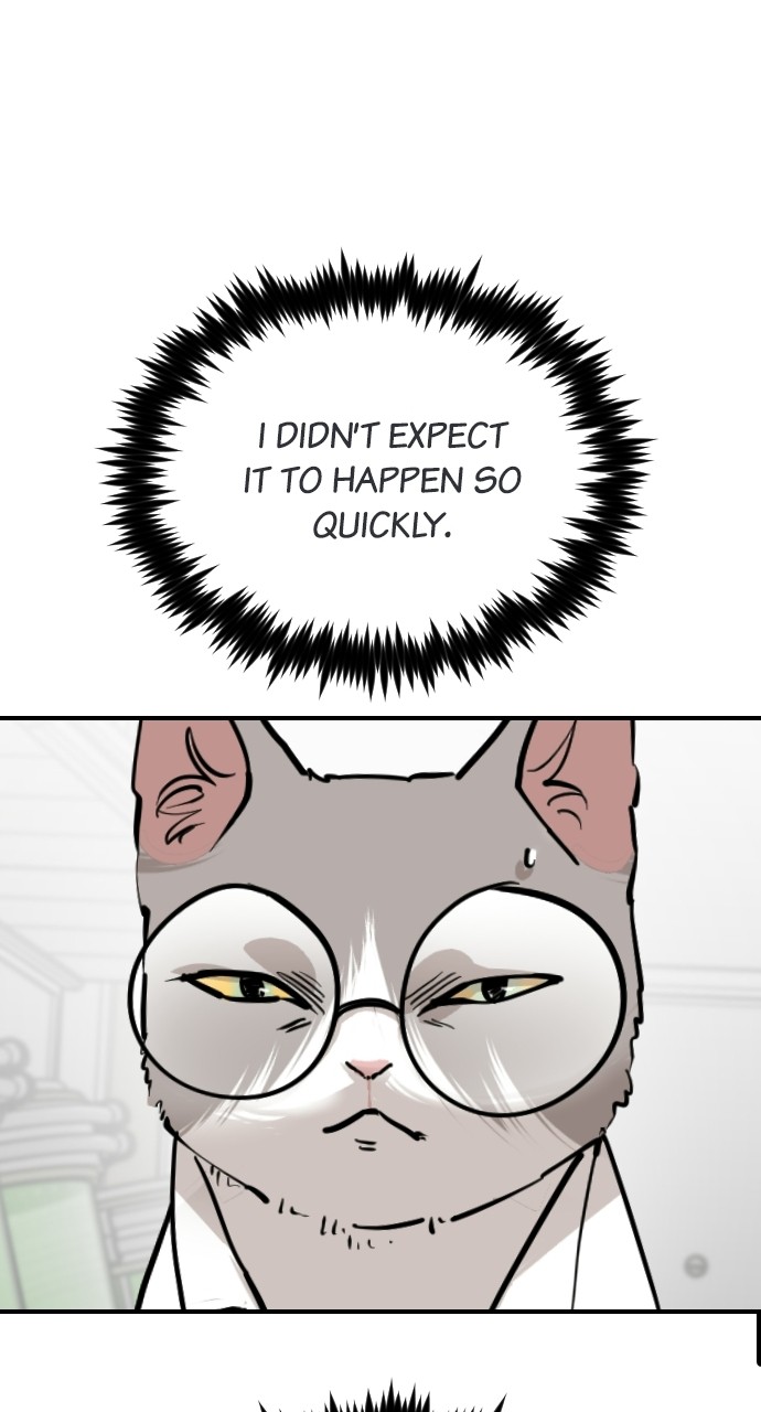 Read Meow Rangers Manga Online