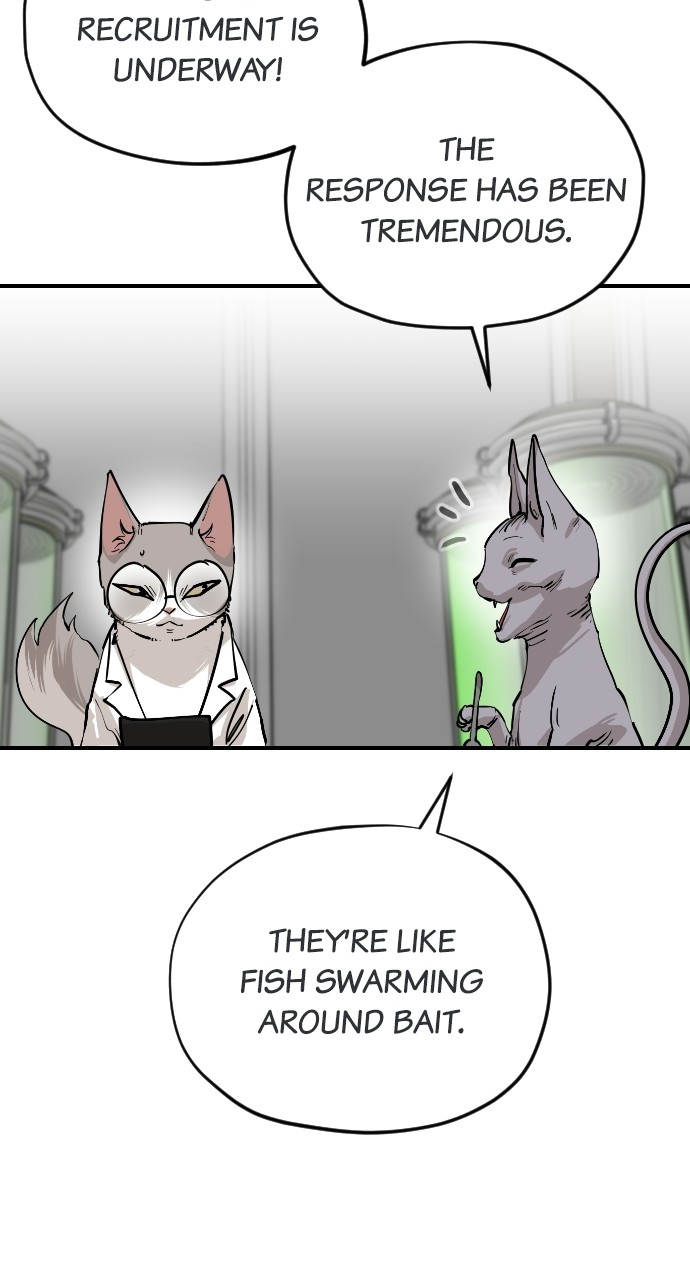 Read Meow Rangers Manga Online