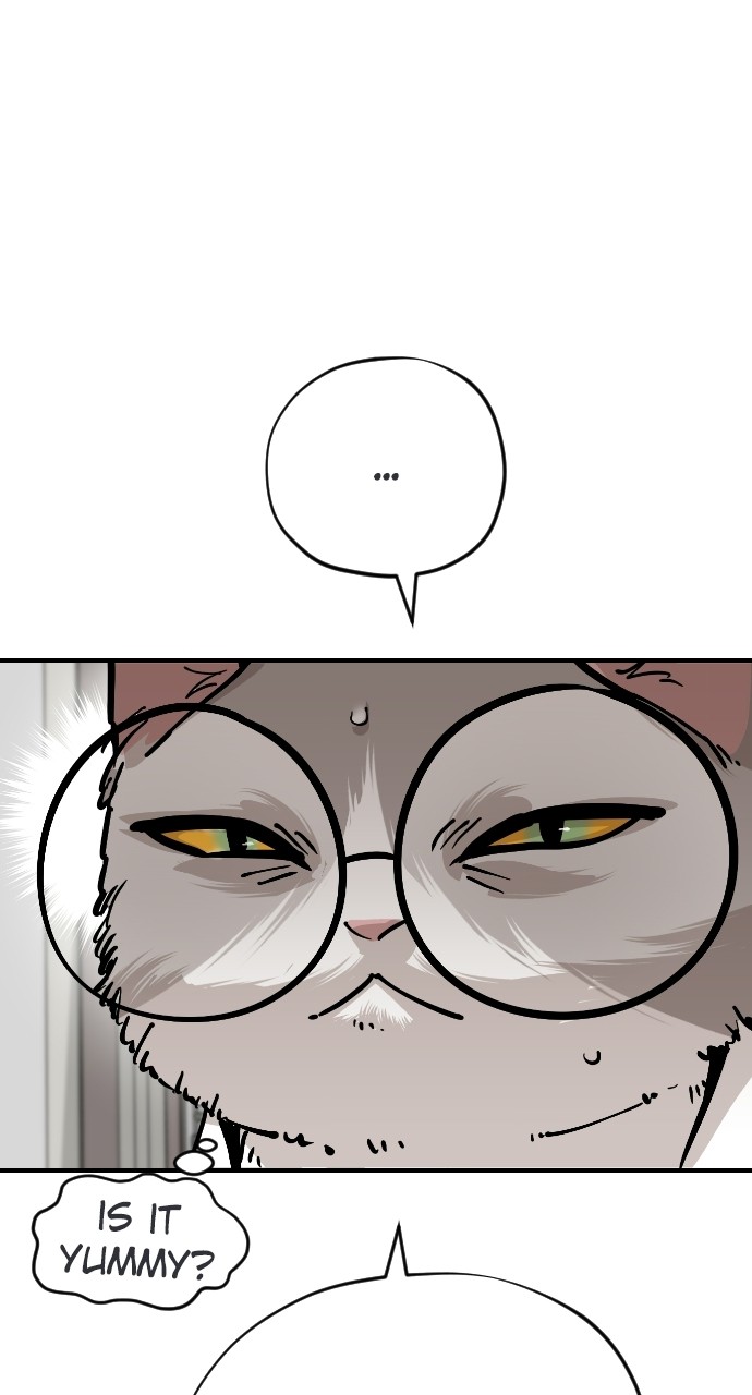 Read Meow Rangers Manga Online