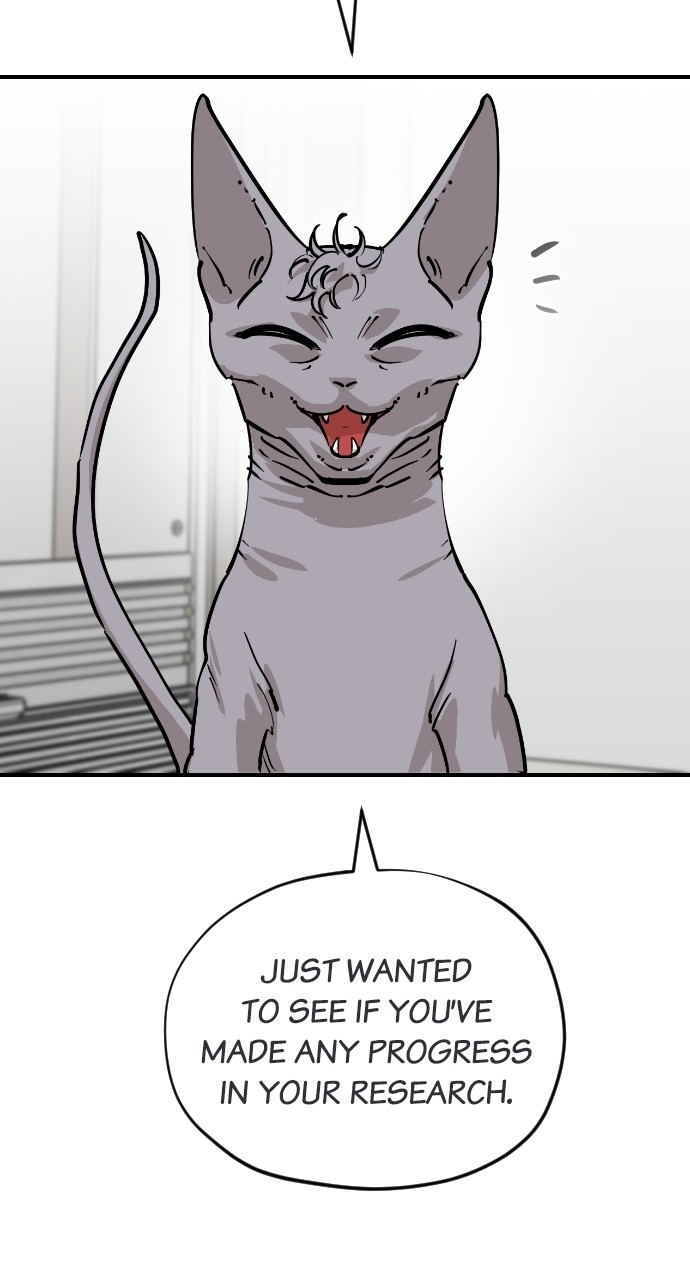 Read Meow Rangers Manga Online