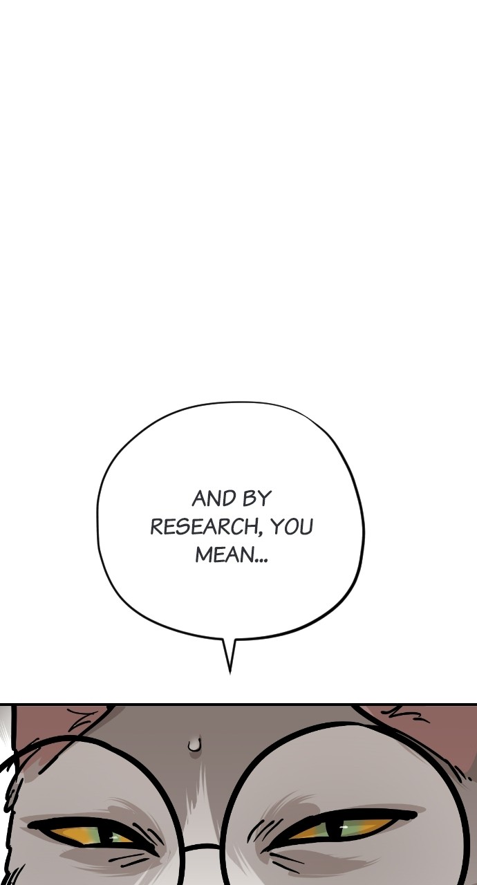 Read Meow Rangers Manga Online