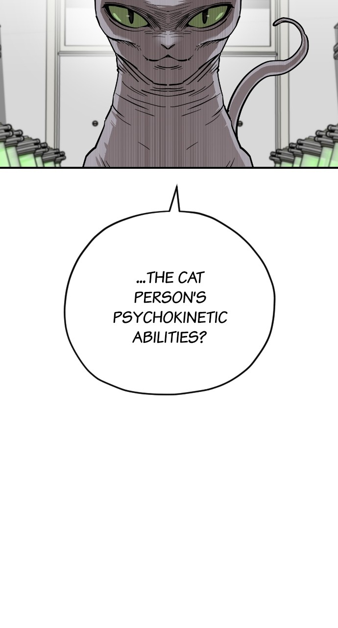 Read Meow Rangers Manga Online