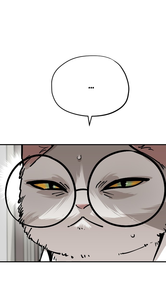 Read Meow Rangers Manga Online