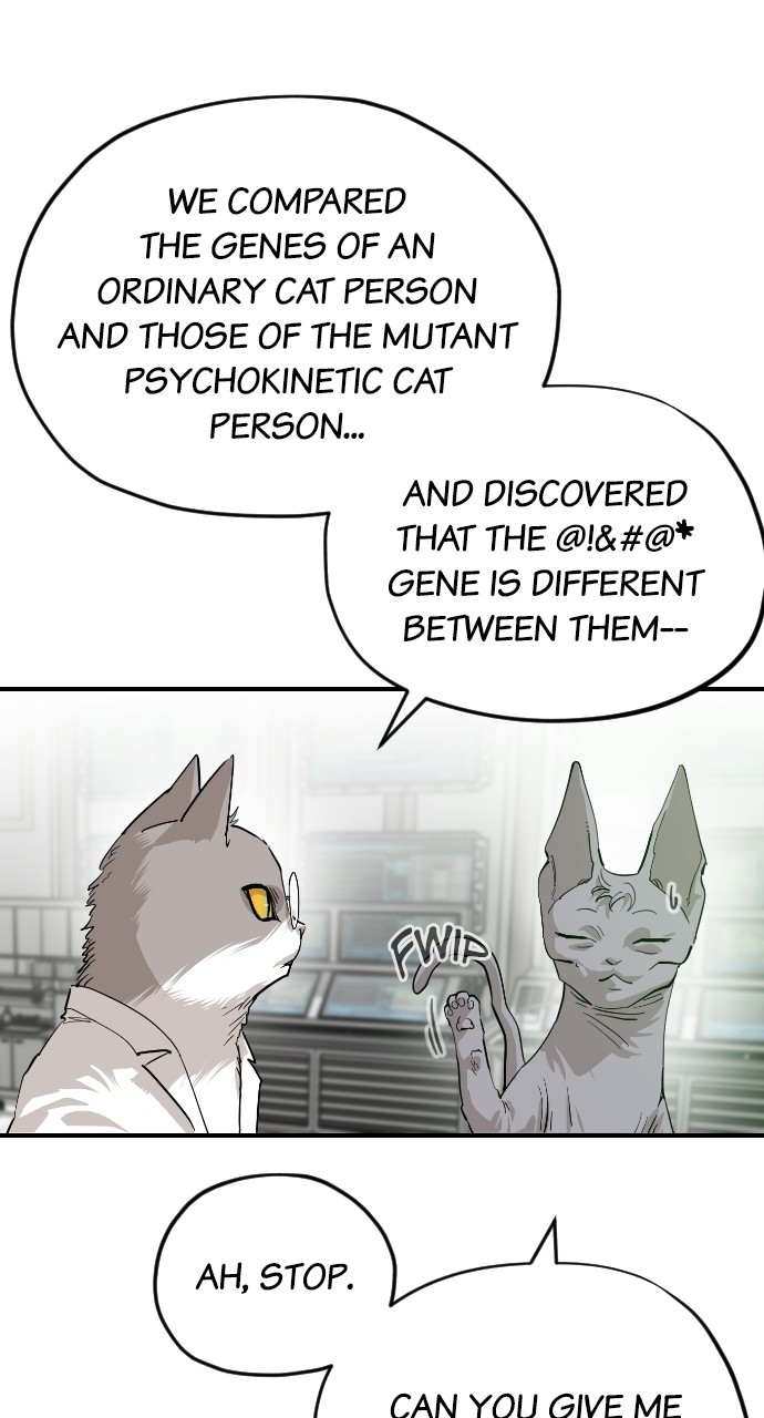 Read Meow Rangers Manga Online