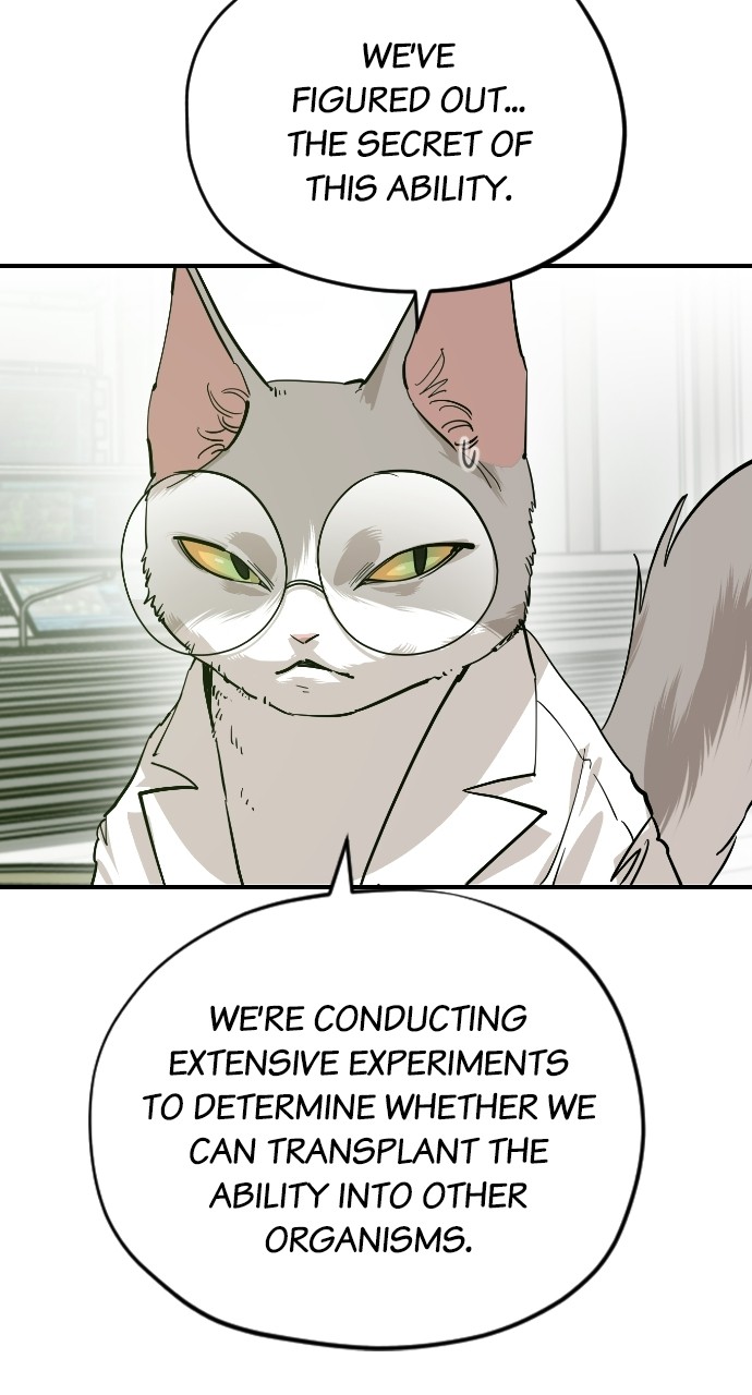 Read Meow Rangers Manga Online