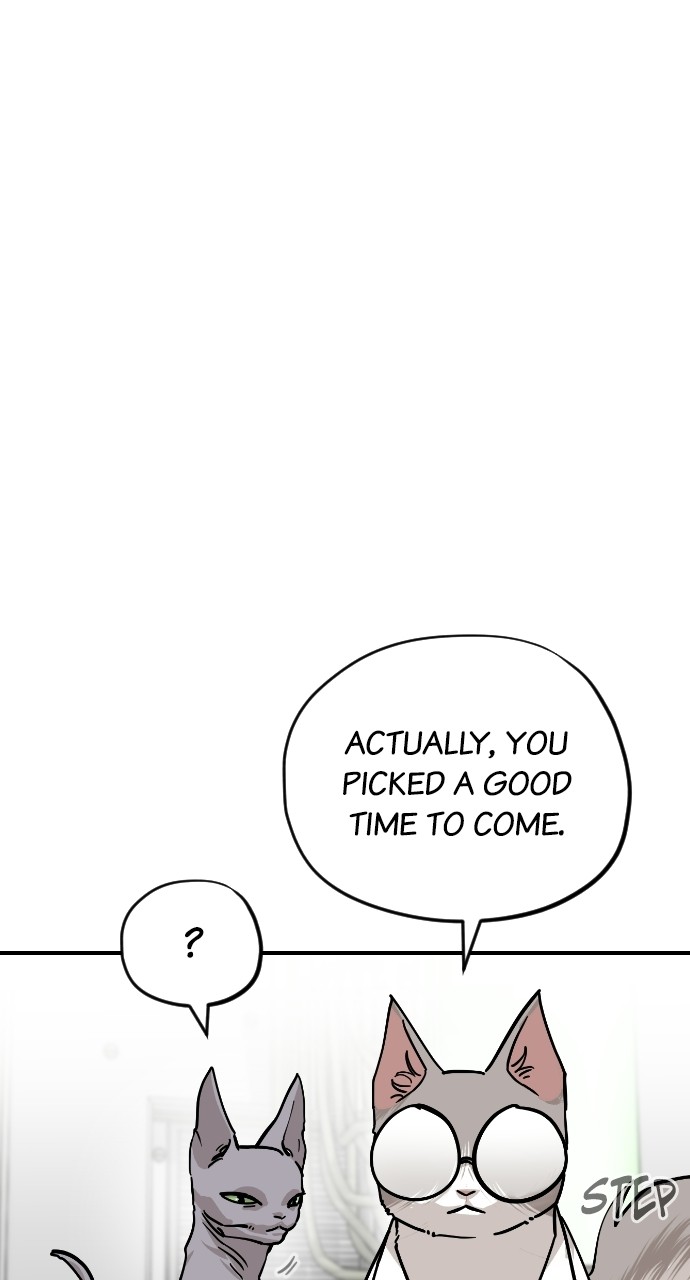 Read Meow Rangers Manga Online