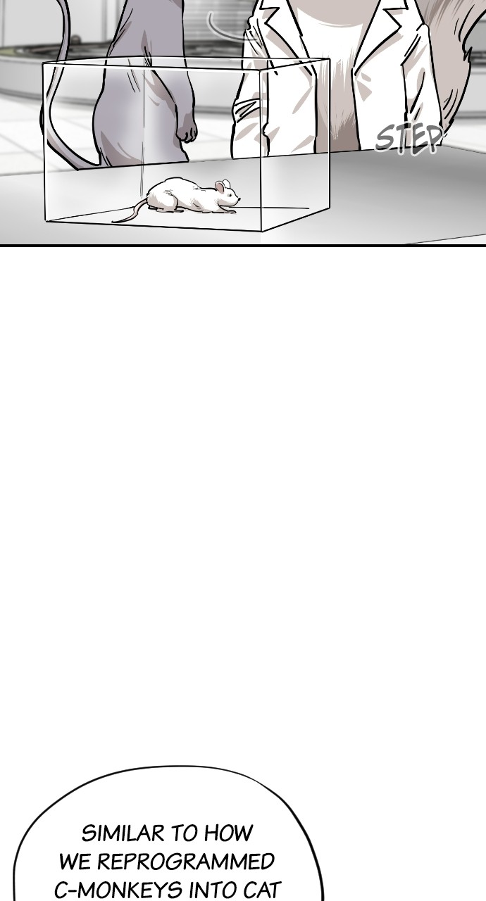 Read Meow Rangers Manga Online