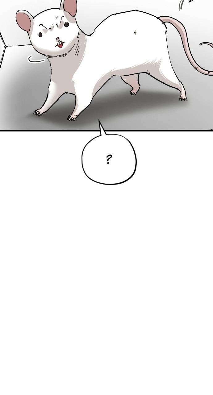 Read Meow Rangers Manga Online