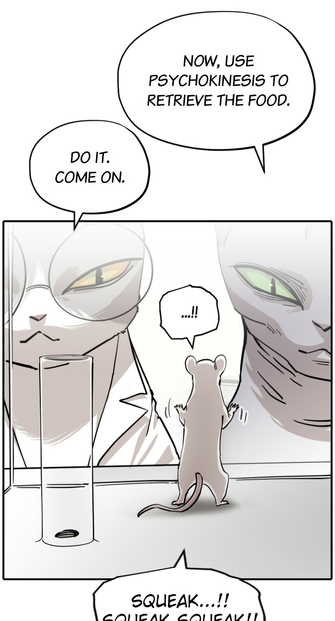 Read Meow Rangers Manga Online