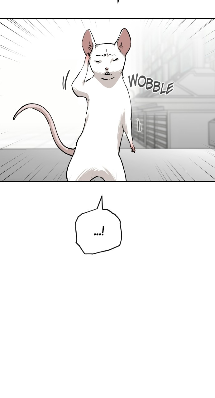Read Meow Rangers Manga Online