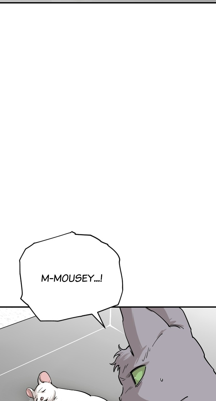 Read Meow Rangers Manga Online