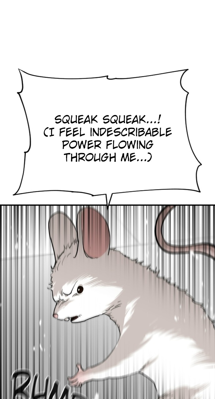 Read Meow Rangers Manga Online