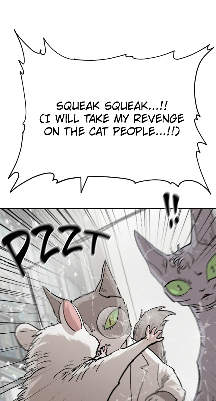 Read Meow Rangers Manga Online