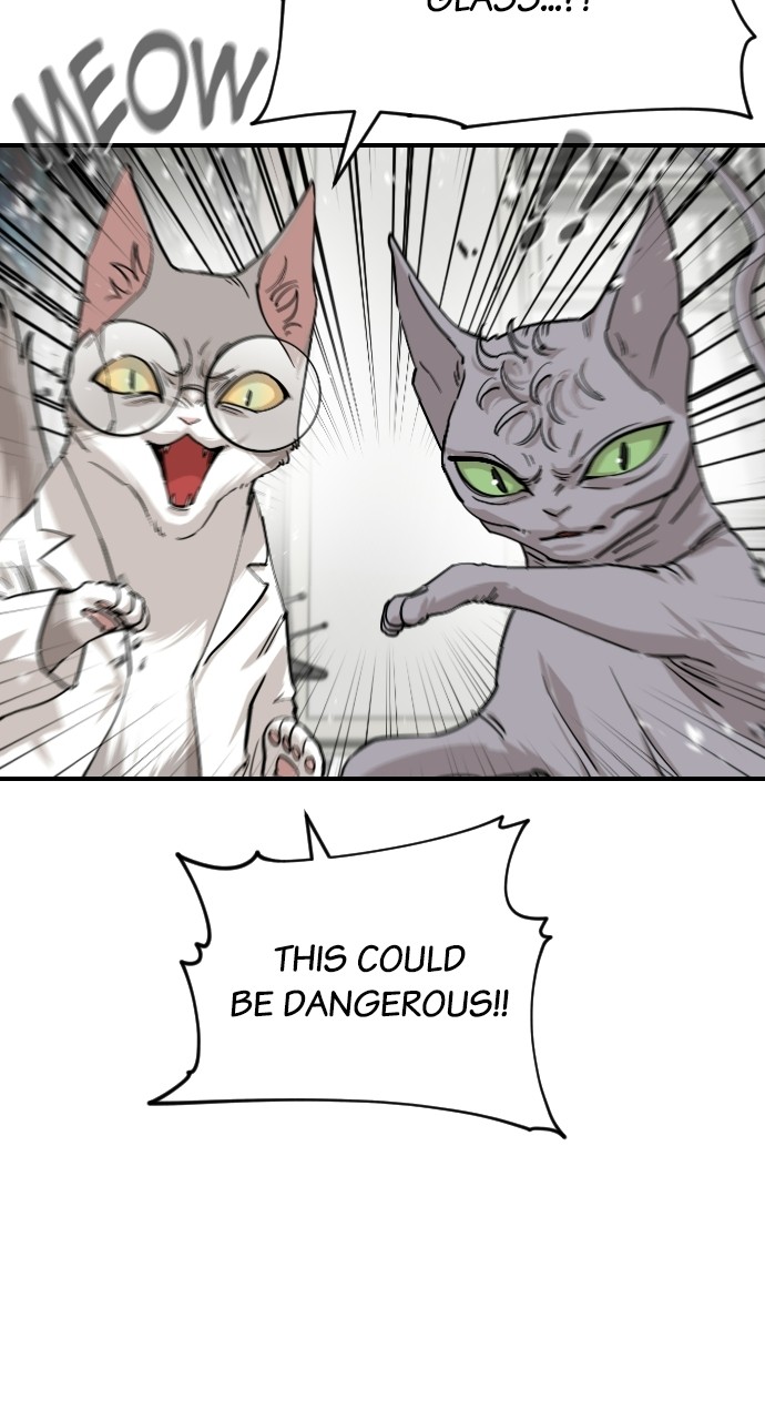 Read Meow Rangers Manga Online
