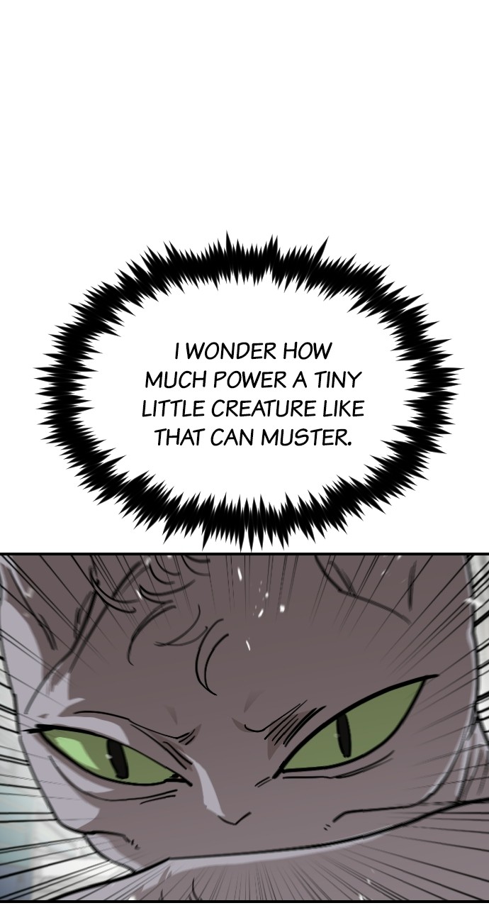 Read Meow Rangers Manga Online