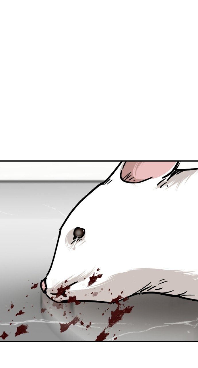 Read Meow Rangers Manga Online