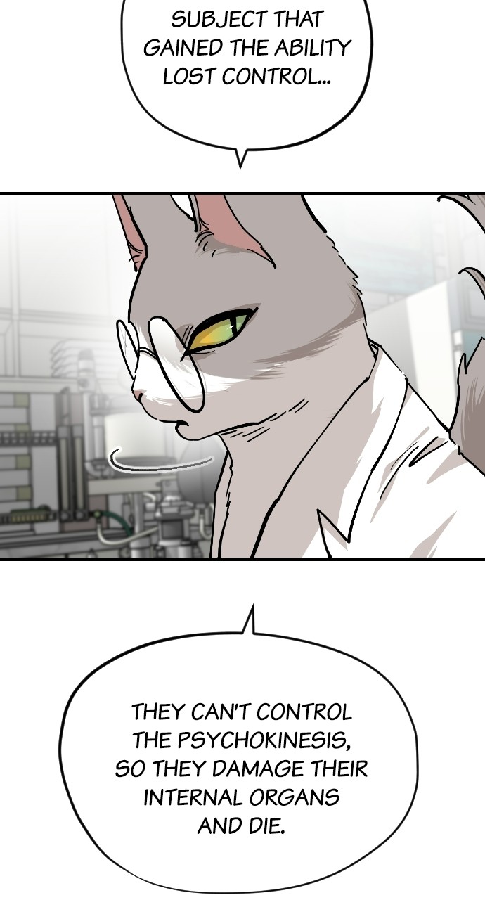 Read Meow Rangers Manga Online
