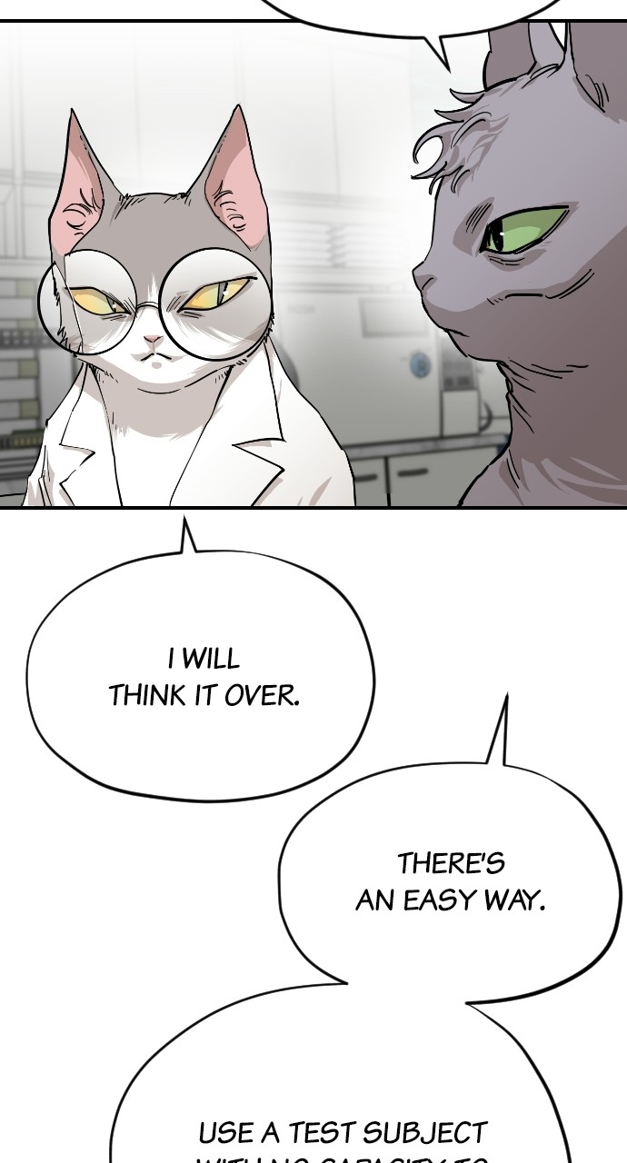 Read Meow Rangers Manga Online