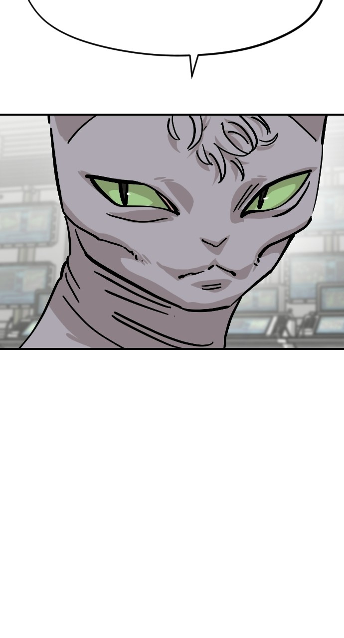 Read Meow Rangers Manga Online