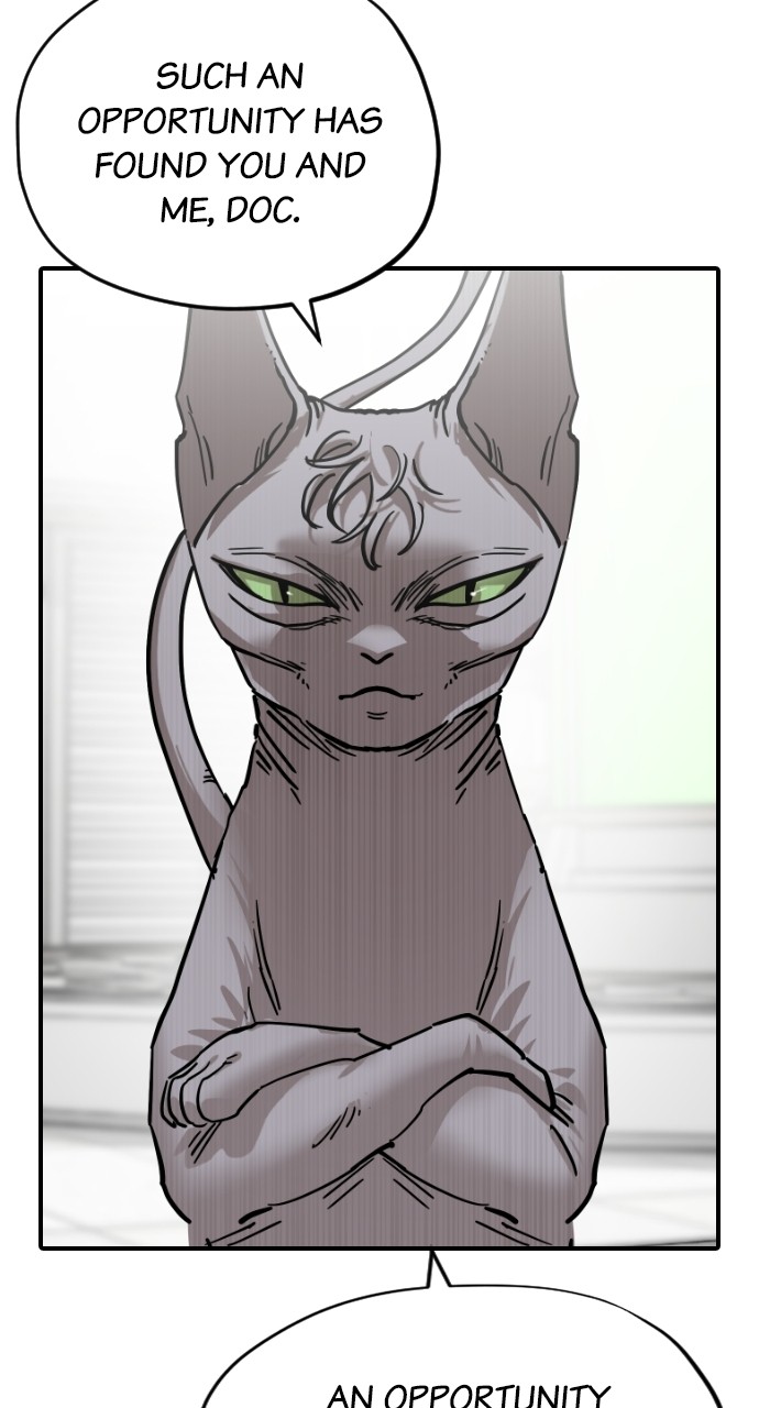 Read Meow Rangers Manga Online