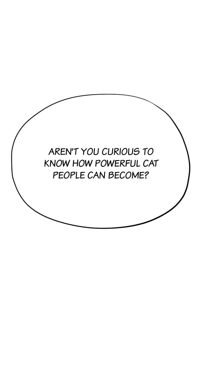 Read Meow Rangers Manga Online
