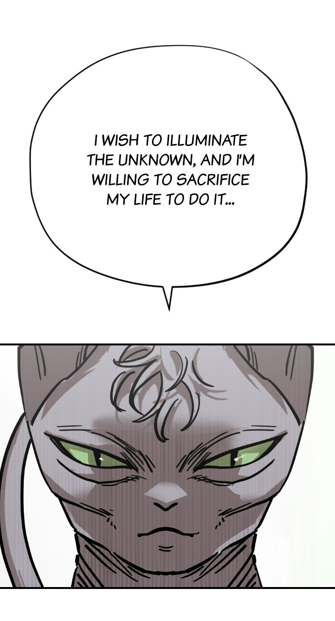 Read Meow Rangers Manga Online