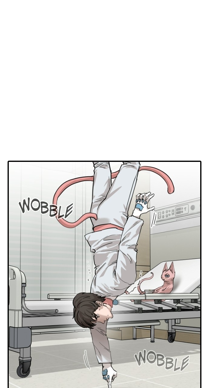 Read Meow Rangers Manga Online