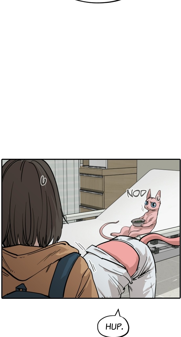 Read Meow Rangers Manga Online