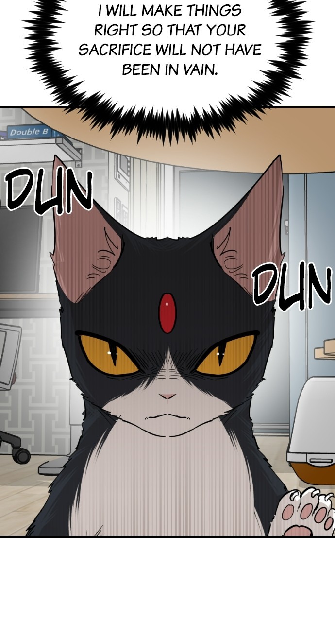 Read Meow Rangers Manga Online
