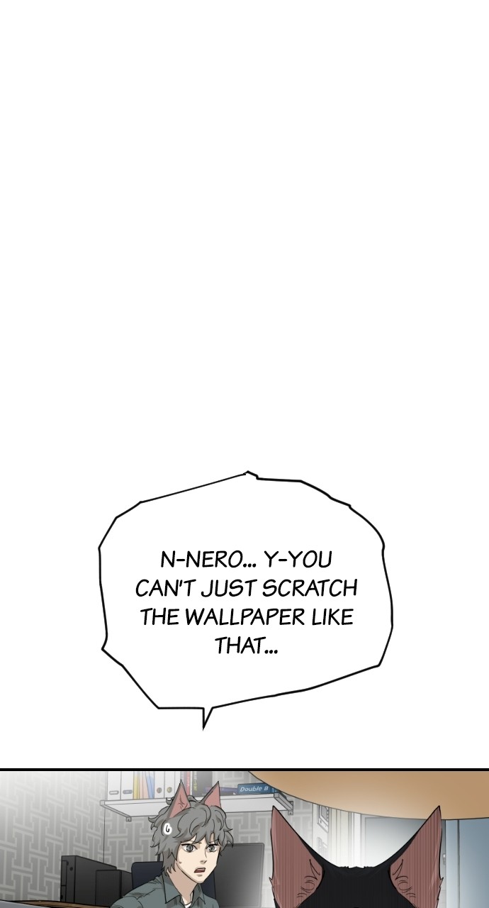 Read Meow Rangers Manga Online