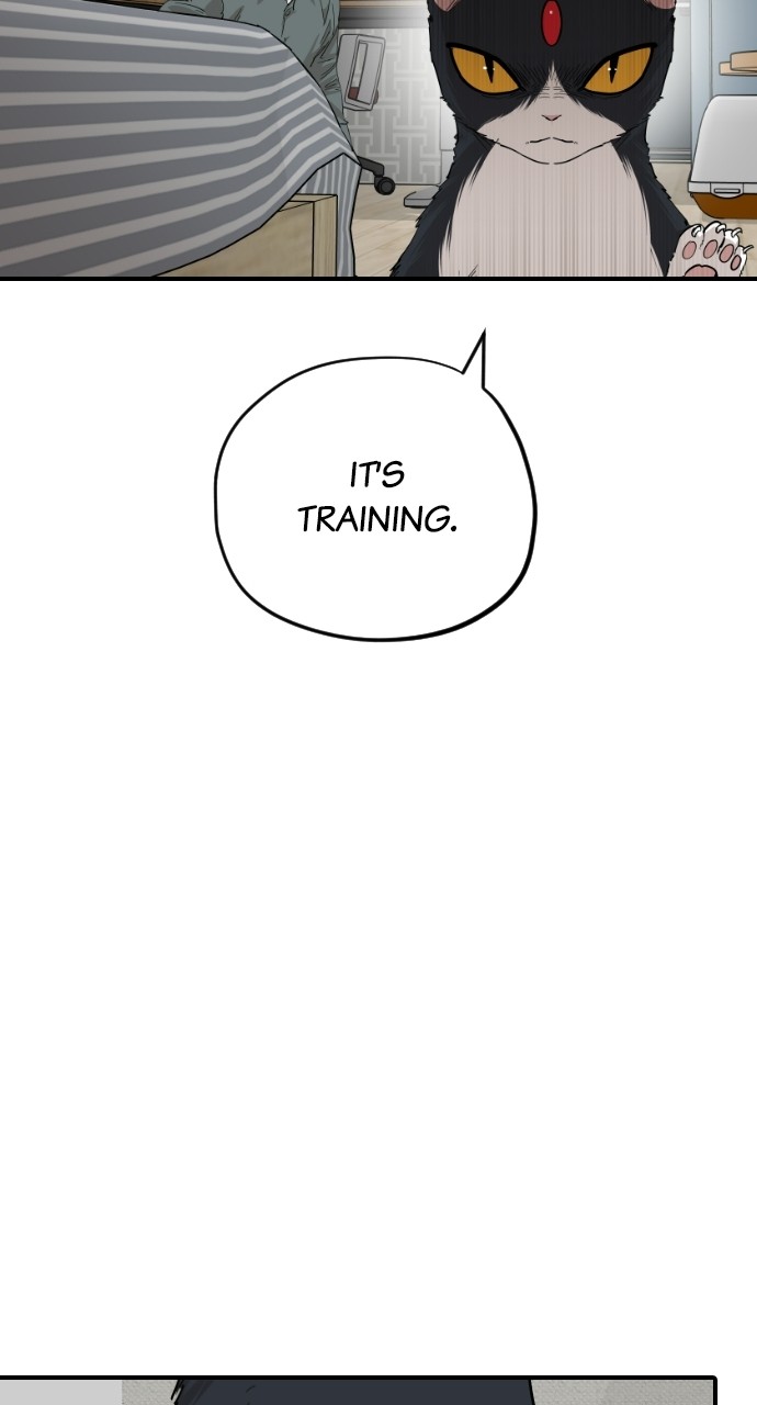 Read Meow Rangers Manga Online