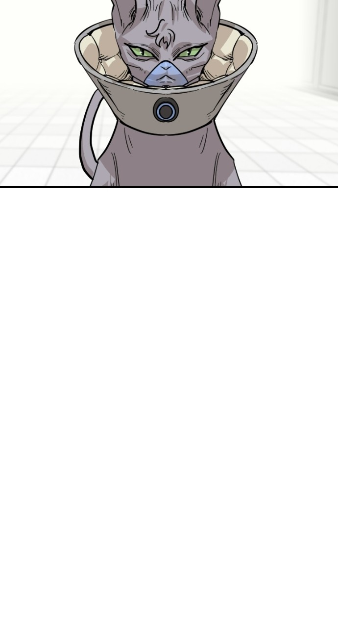 Read Meow Rangers Manga Online