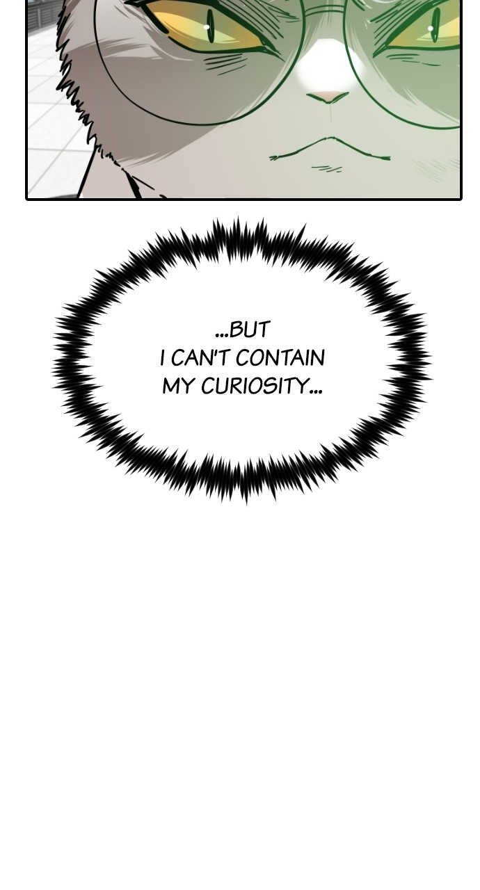 Read Meow Rangers Manga Online
