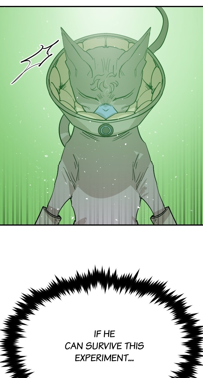 Read Meow Rangers Manga Online