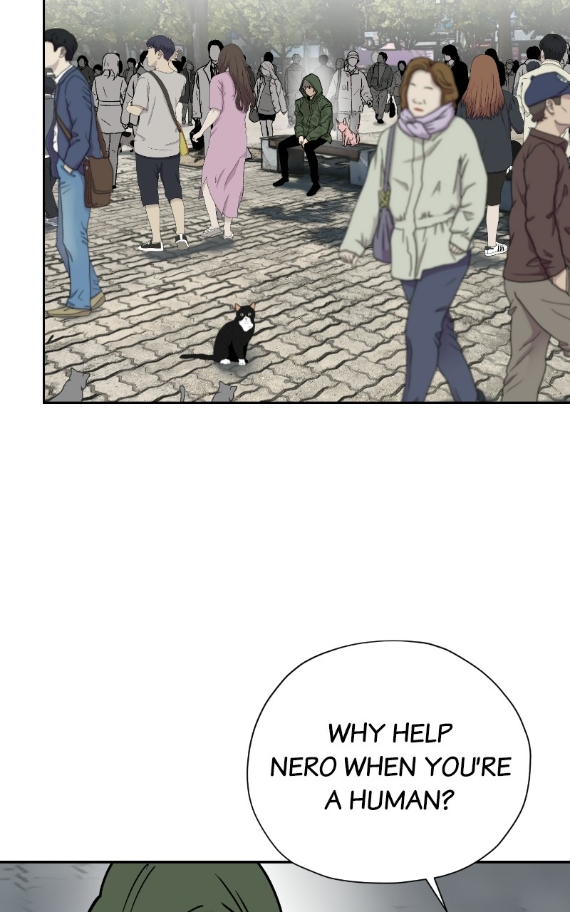 Read Meow Rangers Manga Online